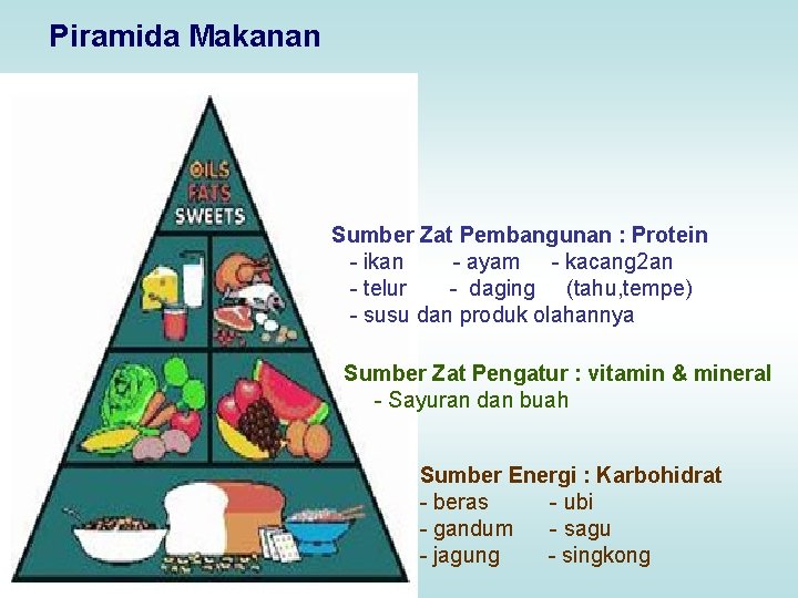 Piramida Makanan Sumber Zat Pembangunan : Protein - ikan - ayam - kacang 2