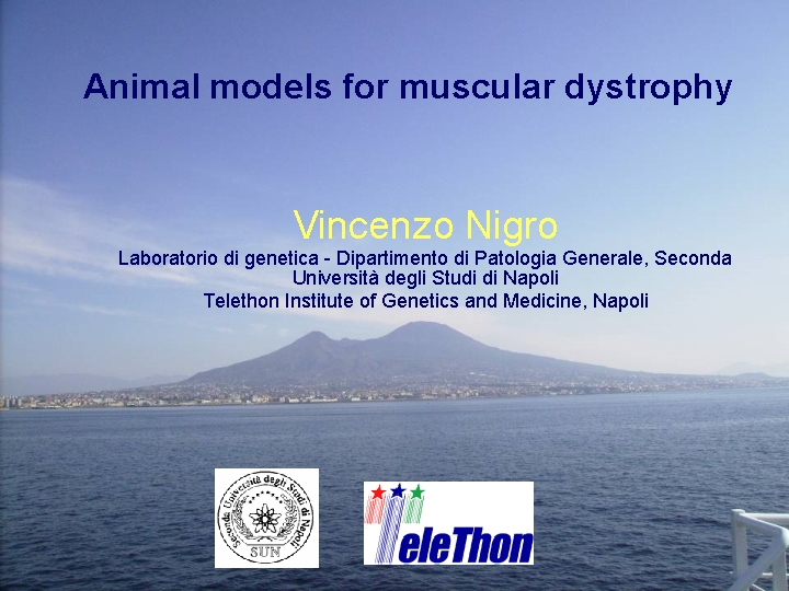 Animal models for muscular dystrophy Vincenzo Nigro Laboratorio di genetica - Dipartimento di Patologia