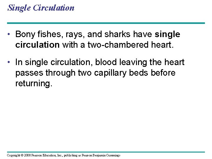 Single Circulation • Bony fishes, rays, and sharks have single circulation with a two-chambered