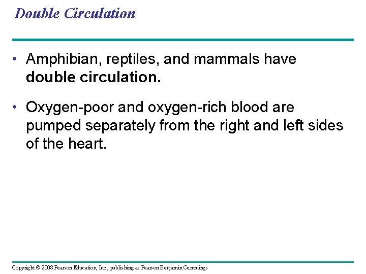 Double Circulation • Amphibian, reptiles, and mammals have double circulation. • Oxygen-poor and oxygen-rich