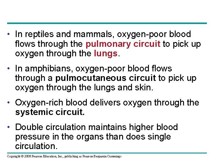  • In reptiles and mammals, oxygen-poor blood flows through the pulmonary circuit to