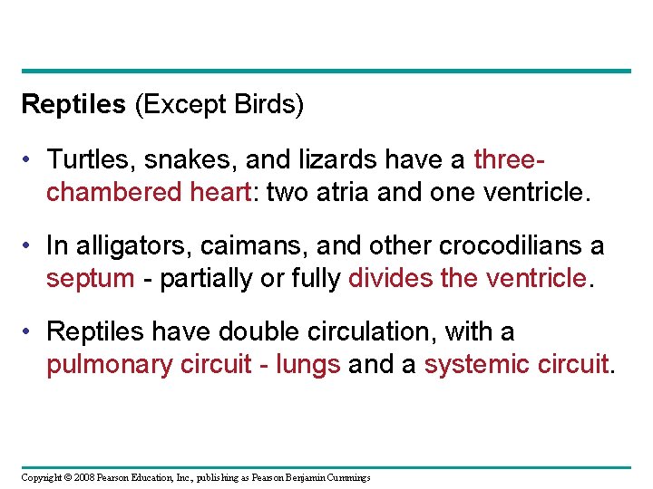 Reptiles (Except Birds) • Turtles, snakes, and lizards have a threechambered heart: two atria
