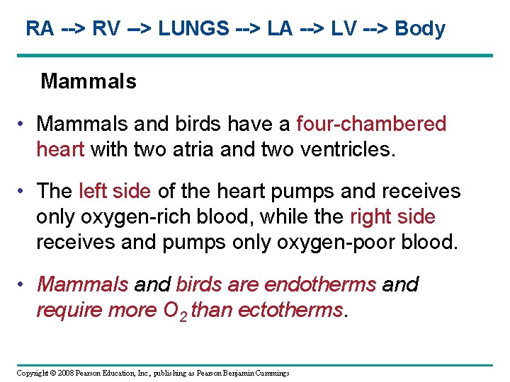 RA --> RV --> LUNGS --> LA --> LV --> Body Mammals • Mammals