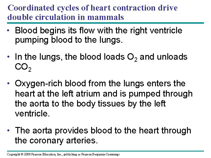Coordinated cycles of heart contraction drive double circulation in mammals • Blood begins its