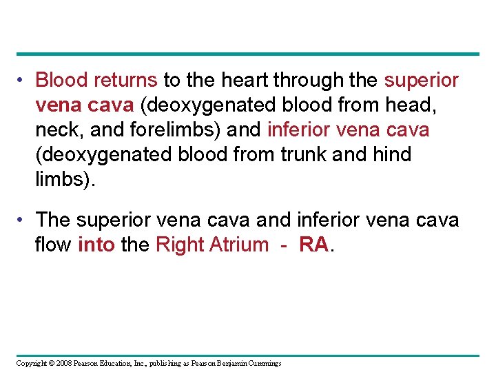  • Blood returns to the heart through the superior vena cava (deoxygenated blood