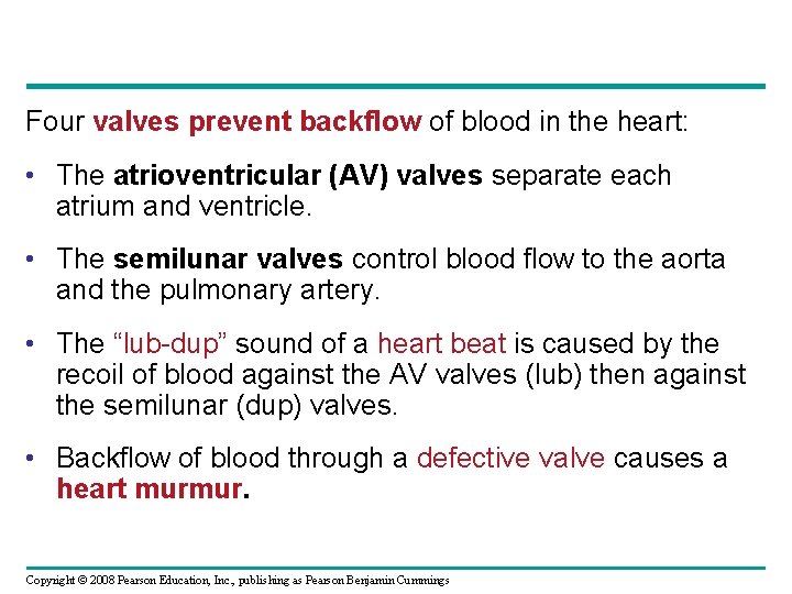 Four valves prevent backflow of blood in the heart: • The atrioventricular (AV) valves