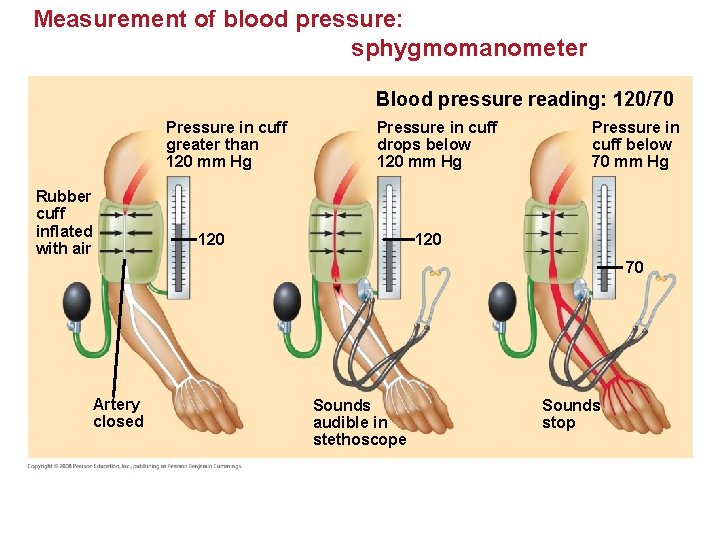 Measurement of blood pressure: sphygmomanometer Blood pressure reading: 120/70 Pressure in cuff greater than