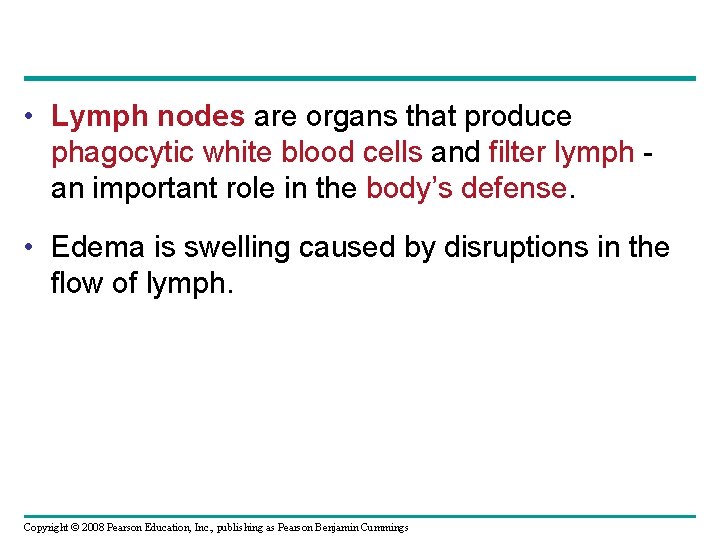  • Lymph nodes are organs that produce phagocytic white blood cells and filter