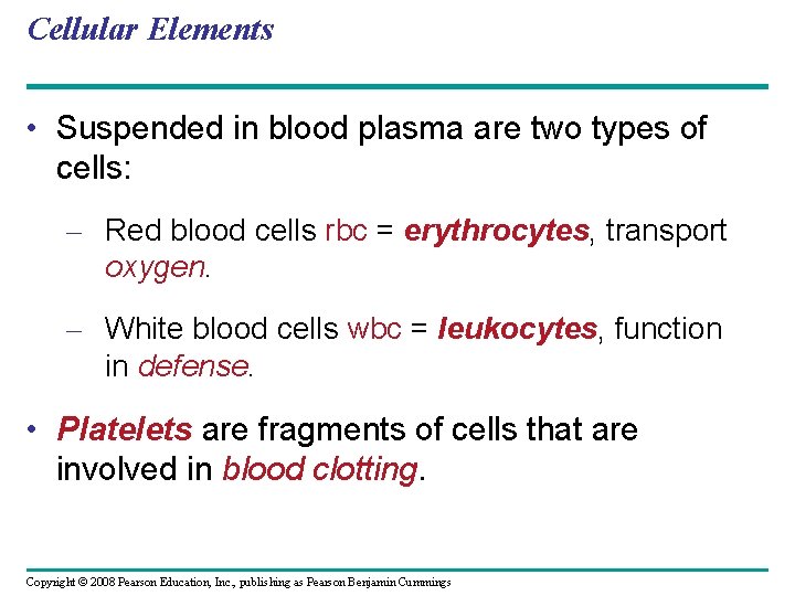 Cellular Elements • Suspended in blood plasma are two types of cells: – Red