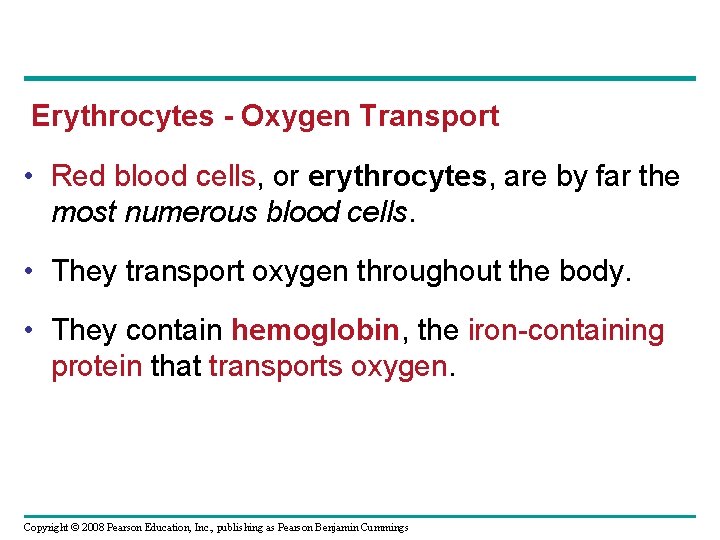 Erythrocytes - Oxygen Transport • Red blood cells, or erythrocytes, are by far the
