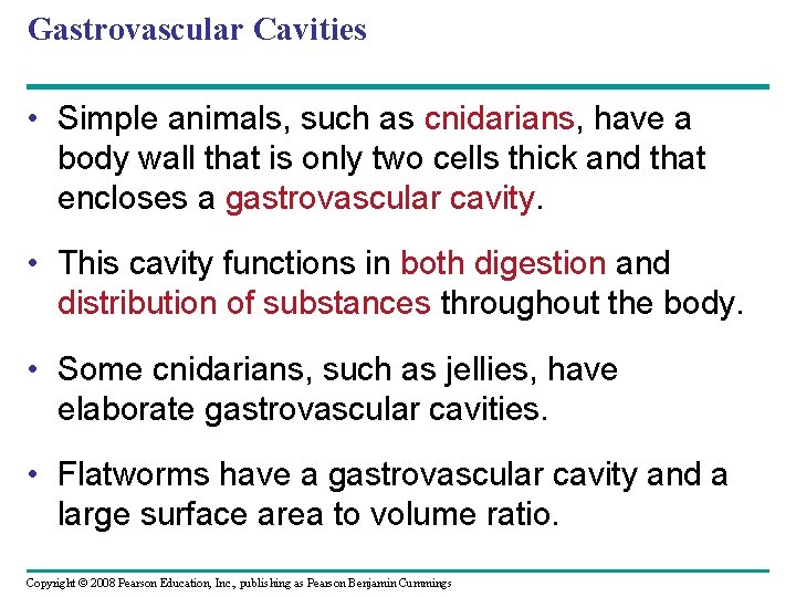 Gastrovascular Cavities • Simple animals, such as cnidarians, have a body wall that is
