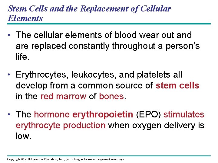 Stem Cells and the Replacement of Cellular Elements • The cellular elements of blood
