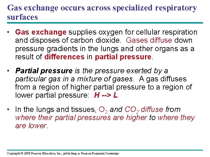 Gas exchange occurs across specialized respiratory surfaces • Gas exchange supplies oxygen for cellular