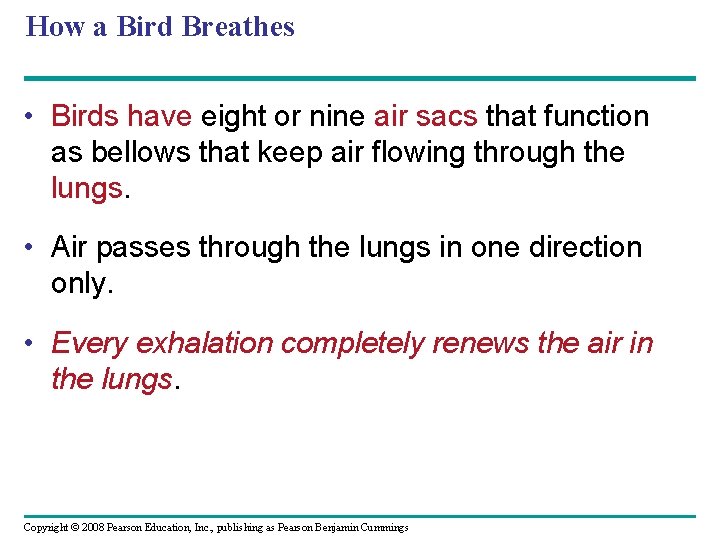 How a Bird Breathes • Birds have eight or nine air sacs that function