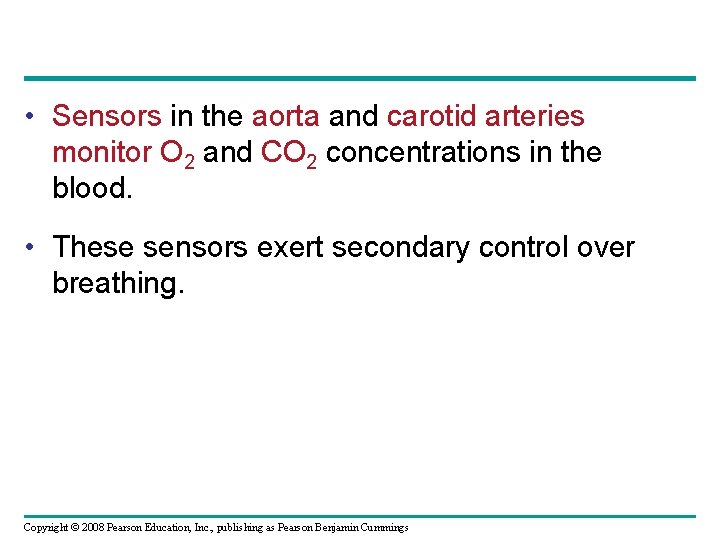  • Sensors in the aorta and carotid arteries monitor O 2 and CO