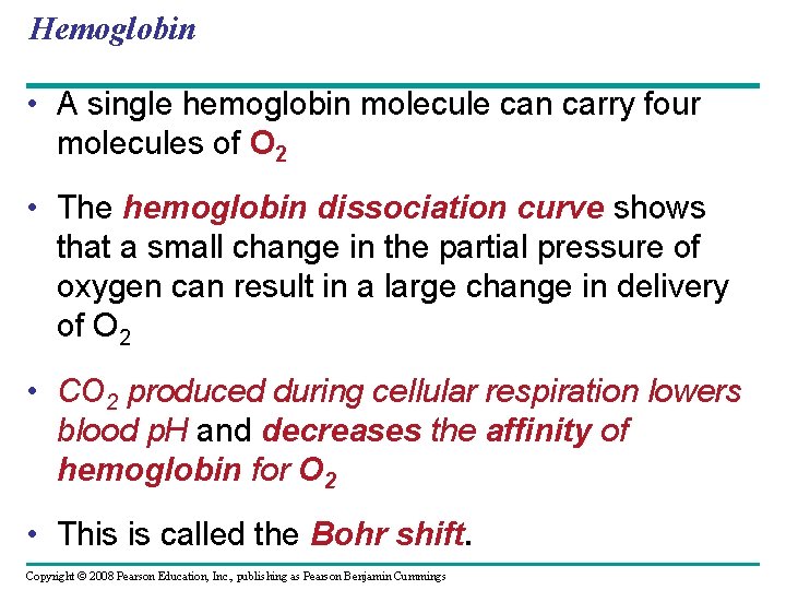 Hemoglobin • A single hemoglobin molecule can carry four molecules of O 2 •