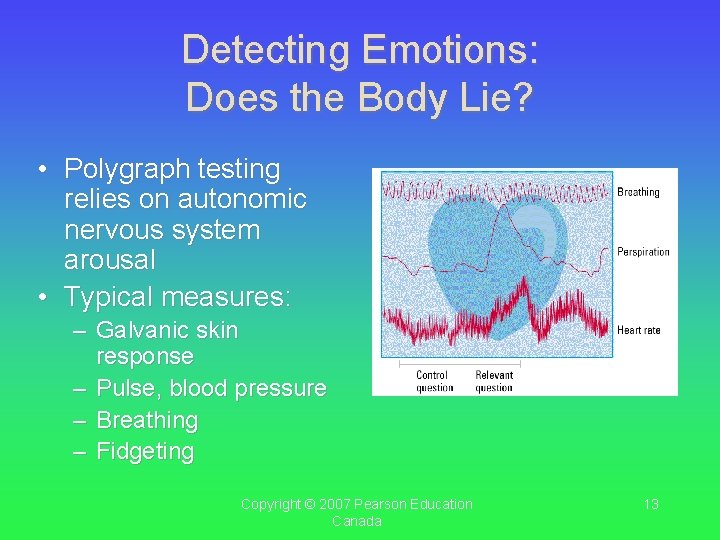 Detecting Emotions: Does the Body Lie? • Polygraph testing relies on autonomic nervous system Detecting Emotions: Does the Body Lie? • Polygraph testing relies on autonomic nervous system