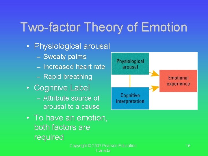 Two-factor Theory of Emotion • Physiological arousal – Sweaty palms – Increased heart rate Two-factor Theory of Emotion • Physiological arousal – Sweaty palms – Increased heart rate