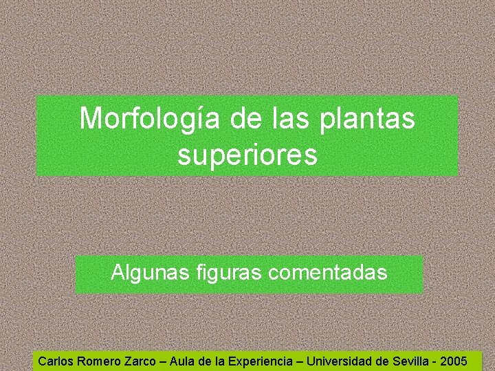 Morfología de las plantas superiores Algunas figuras comentadas Carlos Romero Zarco – Aula de Morfología de las plantas superiores Algunas figuras comentadas Carlos Romero Zarco – Aula de