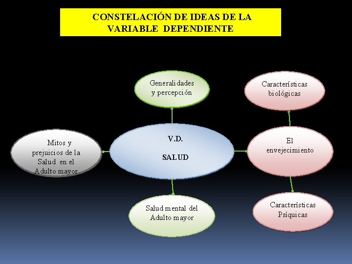 CONSTELACIÓN DE IDEAS DE LA VARIABLE DEPENDIENTE Generalidades y percepción Mitos y prejuicios de