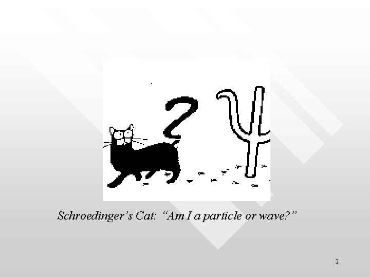 Schroedinger’s Cat: “Am I a particle or wave? ” 2 