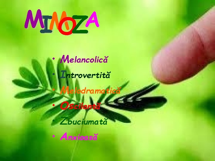 A MIM OZ • • • Melancolică Introvertită Melodramatică Oscilantă Zbuciumată Anxioasă 