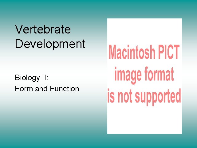 Vertebrate Development Biology II: Form and Function 