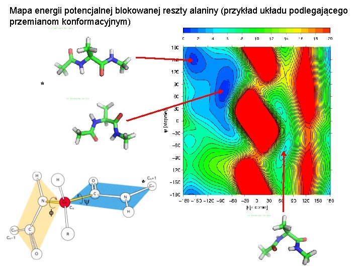 Mapa energii potencjalnej blokowanej reszty alaniny (przykład układu podlegającego przemianom konformacyjnym) 