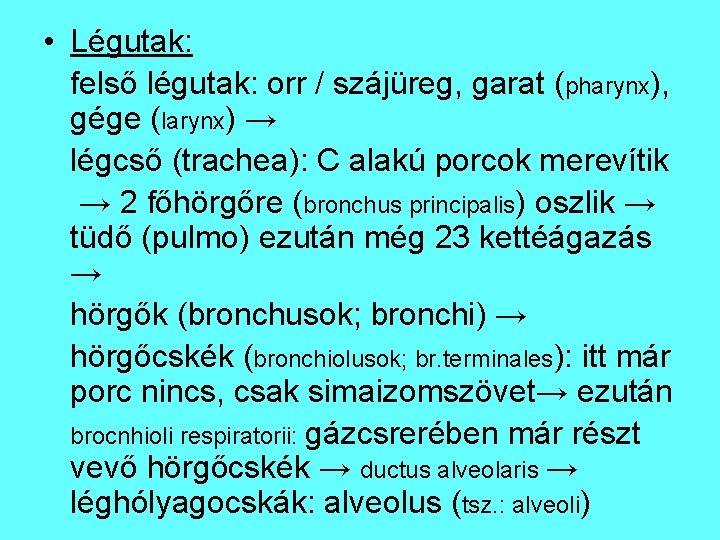  • Légutak: felső légutak: orr / szájüreg, garat (pharynx), gége (larynx) → légcső