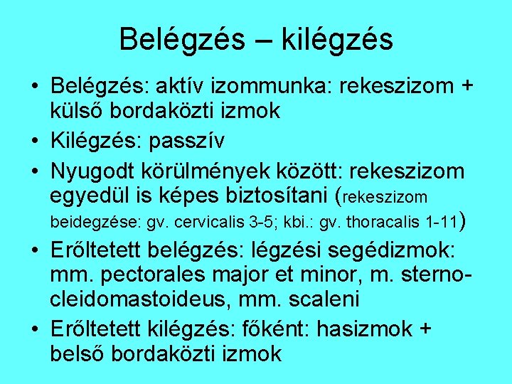 Belégzés – kilégzés • Belégzés: aktív izommunka: rekeszizom + külső bordaközti izmok • Kilégzés: