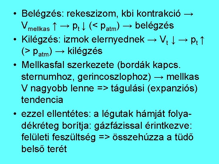  • Belégzés: rekeszizom, kbi kontrakció → Vmellkas ↑ → pt ↓ (< patm)