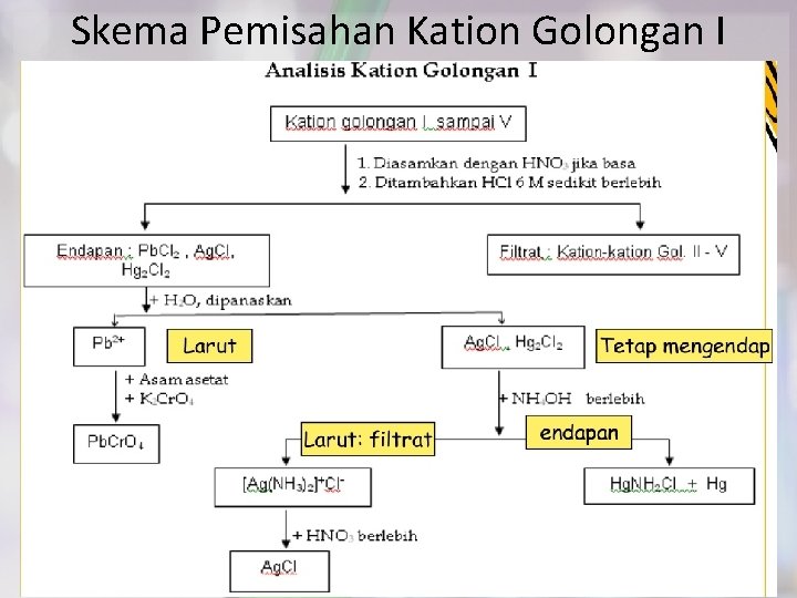 Skema Pemisahan Kation Golongan I 