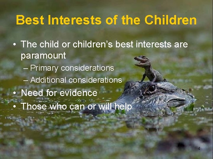 Best Interests of the Children • The child or children’s best interests are paramount