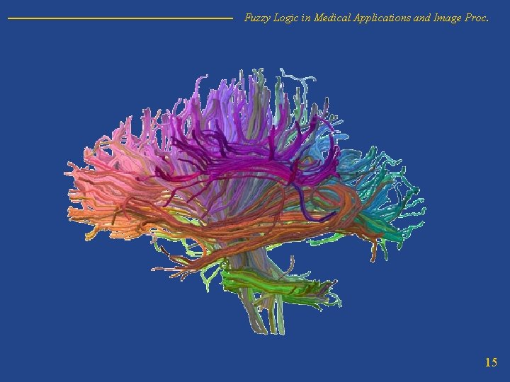 Fuzzy Logic in Medical Applications and Image Proc. 15 