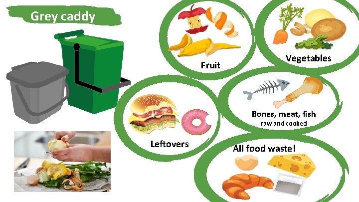 Grey caddy Fruit Vegetables Bones, meat, fish raw and cooked Leftovers All food waste!