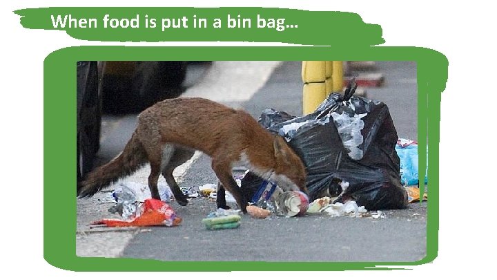 When food is put in a bin bag… 