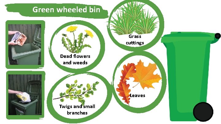 Green wheeled bin Grass cuttings Dead flowers and weeds Leaves Twigs and small branches