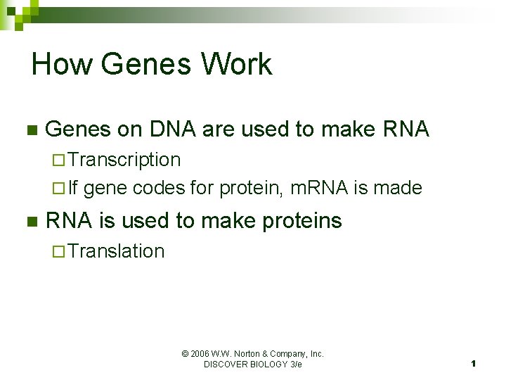 How Genes Work n Genes on DNA are used to make RNA ¨ Transcription