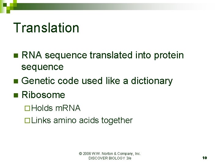 Translation RNA sequence translated into protein sequence n Genetic code used like a dictionary