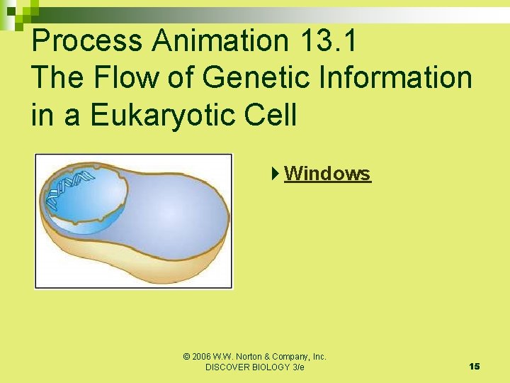 Process Animation 13. 1 The Flow of Genetic Information in a Eukaryotic Cell Windows