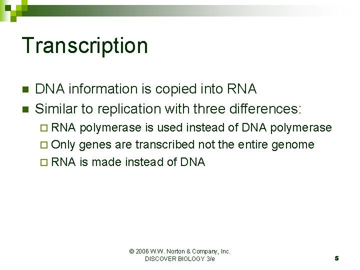 Transcription n n DNA information is copied into RNA Similar to replication with three