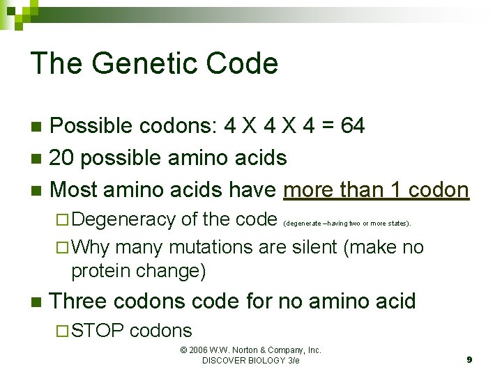 The Genetic Code Possible codons: 4 X 4 = 64 n 20 possible amino