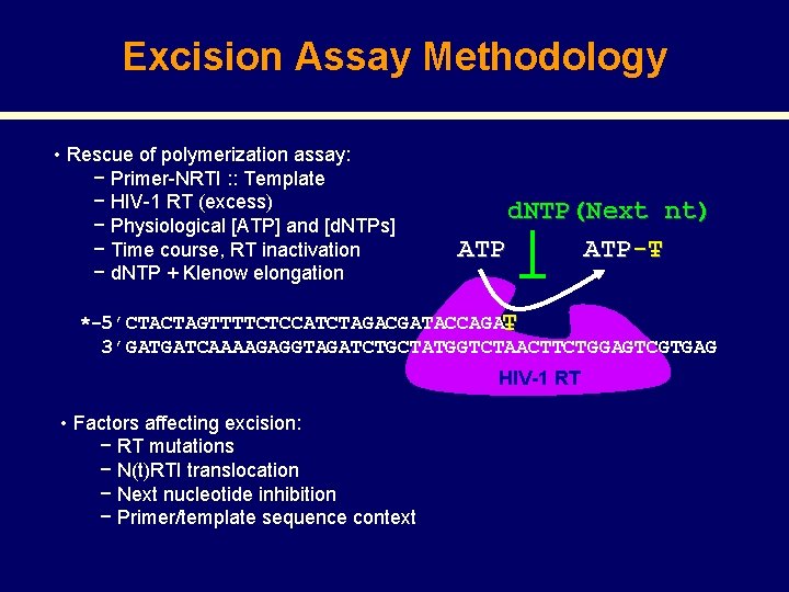 Excision Assay Methodology • Rescue of polymerization assay: − Primer-NRTI : : Template −