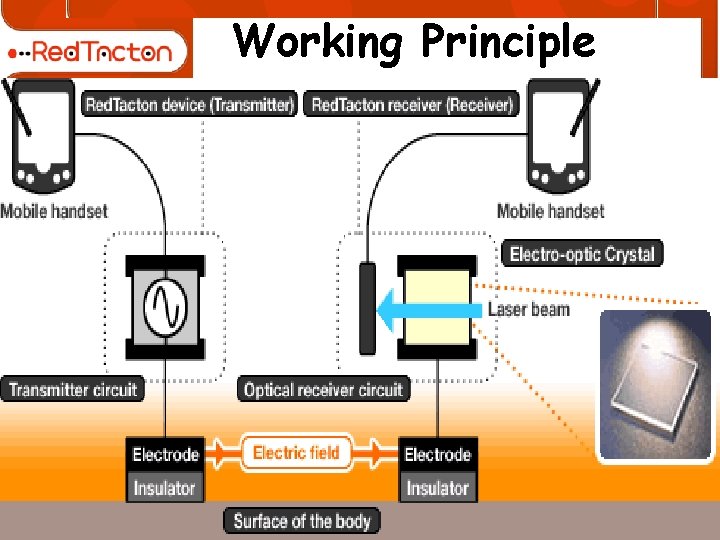 Working Principle W 