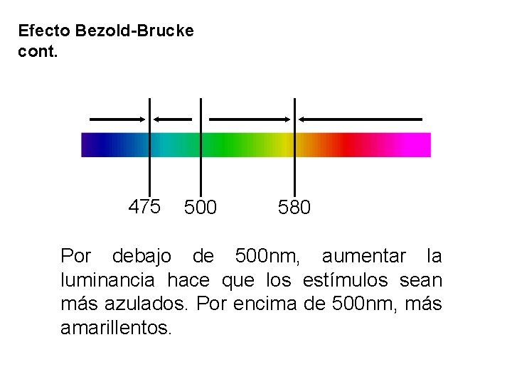 Efecto Bezold-Brucke cont. 475 500 580 Por debajo de 500 nm, aumentar la luminancia