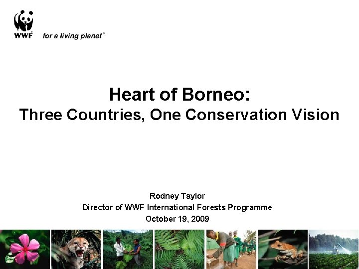 Heart of Borneo: Three Countries, One Conservation Vision Rodney Taylor Director of WWF International