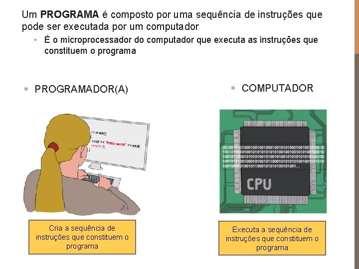 Um PROGRAMA é composto por uma sequência de instruções que pode ser executada por