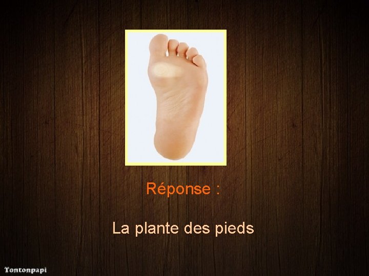 Réponse : La plante des pieds 