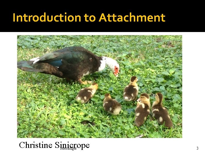 Introduction to Attachment Christine Sinicrope Messinger 3 