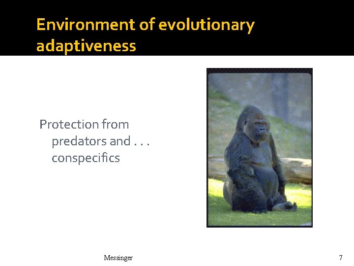 Environment of evolutionary adaptiveness Protection from predators and. . . conspecifics Messinger 7 